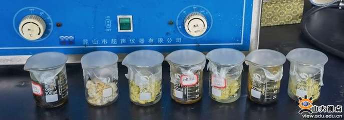 生物基材料技術研發(fā) 山大學子創(chuàng)新創(chuàng)業(yè)實踐的奮斗樂章