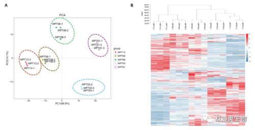 基迪奧植物廣靶代謝組學技術驅動生物基材料創新，助推單組學研究登頂頂尖期刊