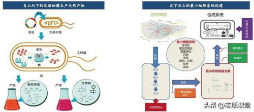 生物坑？轉行跳槽別慌 這3高薪藍海深度技術，國家隊在投入巨資（有案例拆解+真實薪酬分化落差心得故事拆解即未來職業發展變現模型…